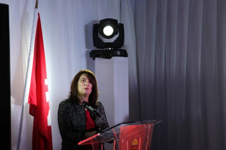Inauguration of the Tunisian-Swedish Chamber of Commerce, Tunis 2017